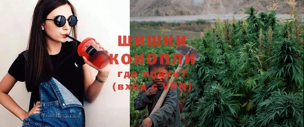 ГАЛЛЮЦИНОГЕННЫЕ ГРИБЫ Алзамай