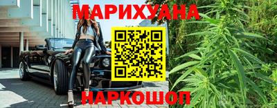 гашик Шебекино