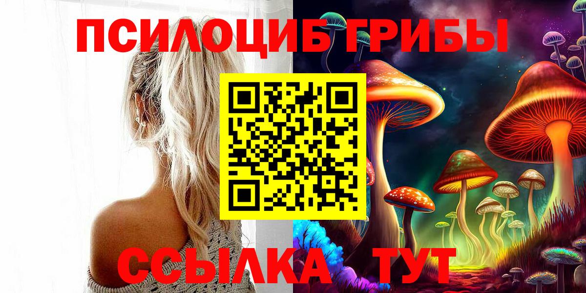 Ярославль  Галлюциногенные грибы ЛСД  Вход с VPN 