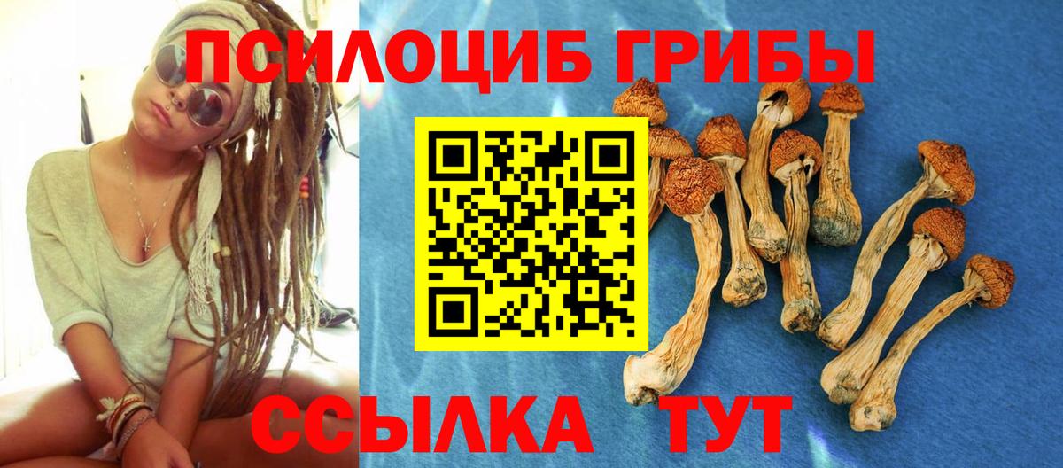 Псилоцибиновые грибы ЛСД Ярославль